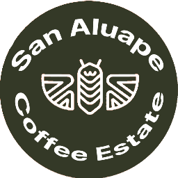 San Aluape